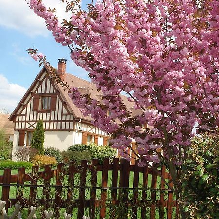 Chambres D'Hotes Au Temps Des Cerises จูมีเยส์ ภายนอก รูปภาพ