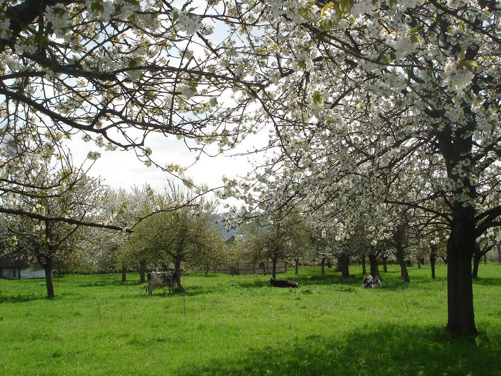 Chambres D'Hotes Au Temps Des Cerises จูมีเยส์ ภายนอก รูปภาพ