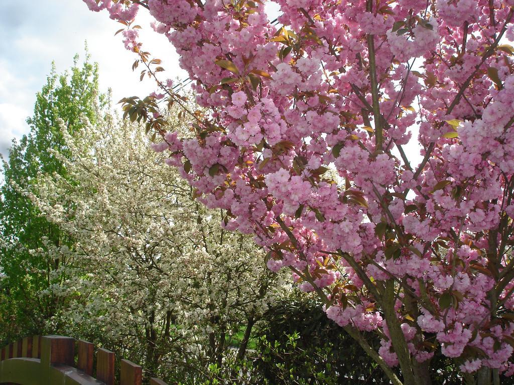 Chambres D'Hotes Au Temps Des Cerises จูมีเยส์ ภายนอก รูปภาพ