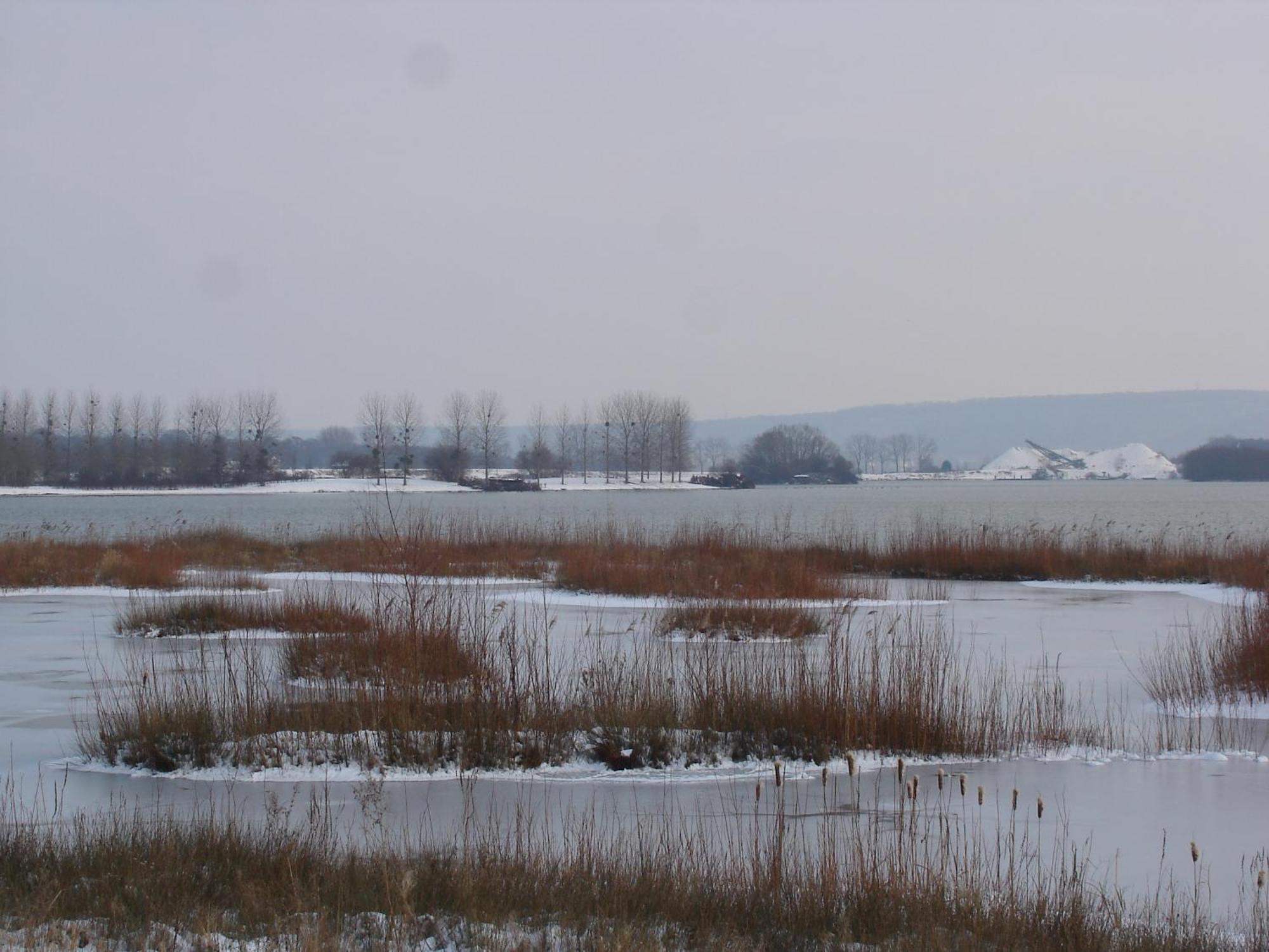 Chambres D'Hotes Au Temps Des Cerises จูมีเยส์ ภายนอก รูปภาพ